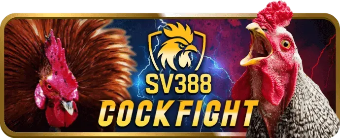 Hỗ trợ khách hàng 24/7 fb98
